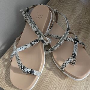 a new day Snake-Print Strappy Sandal in Beige and Black